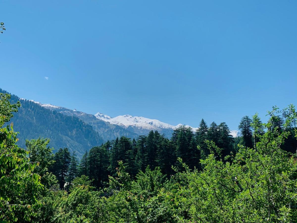 Jungle By Sturmfrei Manali Hostel Exterior photo